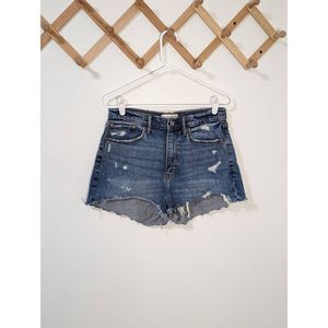 The Mom Short High Rise Curve Love Jean Shorts - Size 29/8